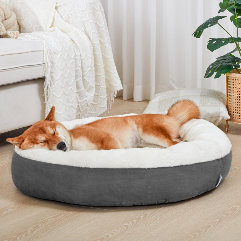 30 Inch Round Donut Pet Bed for Medium to Large Dogs Anti Slip Water Resistant Design Tucker Murphy Pet Color Dark Gray